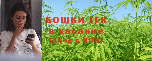 тгк Михайловск