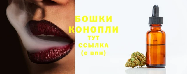 тгк Михайловск