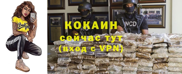 тгк Михайловск
