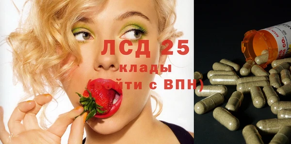 винт Наволоки