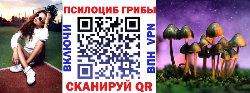 купить   Андреаполь  Псилоцибиновые грибы прущие грибы 